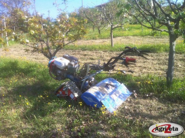 ferro su BCS 740 con fresa terra